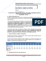 1. Resumen Ejecutivo 3