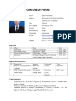 CV Summary for Adin Nurrohman