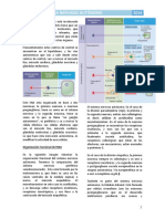 11. Sistema Nervioso Autónomo - Fisiología I.pdf