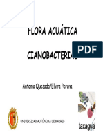08-Cianobacterias-Elvira Peron Antonio Quesada Tcm7-174294