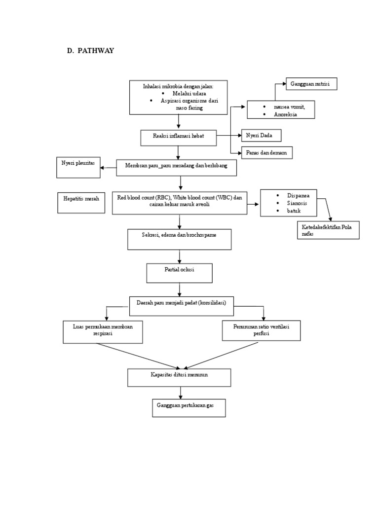 Pathway | PDF