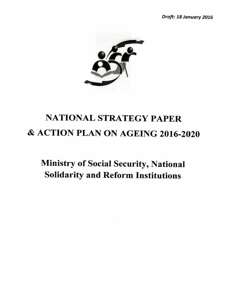 National Strategy Paper & Action Plan On Ageing 2016-2020 | PDF