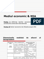 Curs 6 MAI Mediul Economic Nou