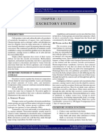 Biology Excretory System