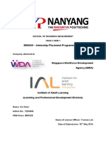 Internship Placement Programme Report PDF Compressed