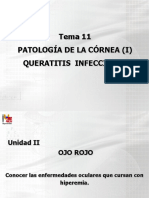 PDF Tema 11 Patologia de La Cornea I 2012 PDF