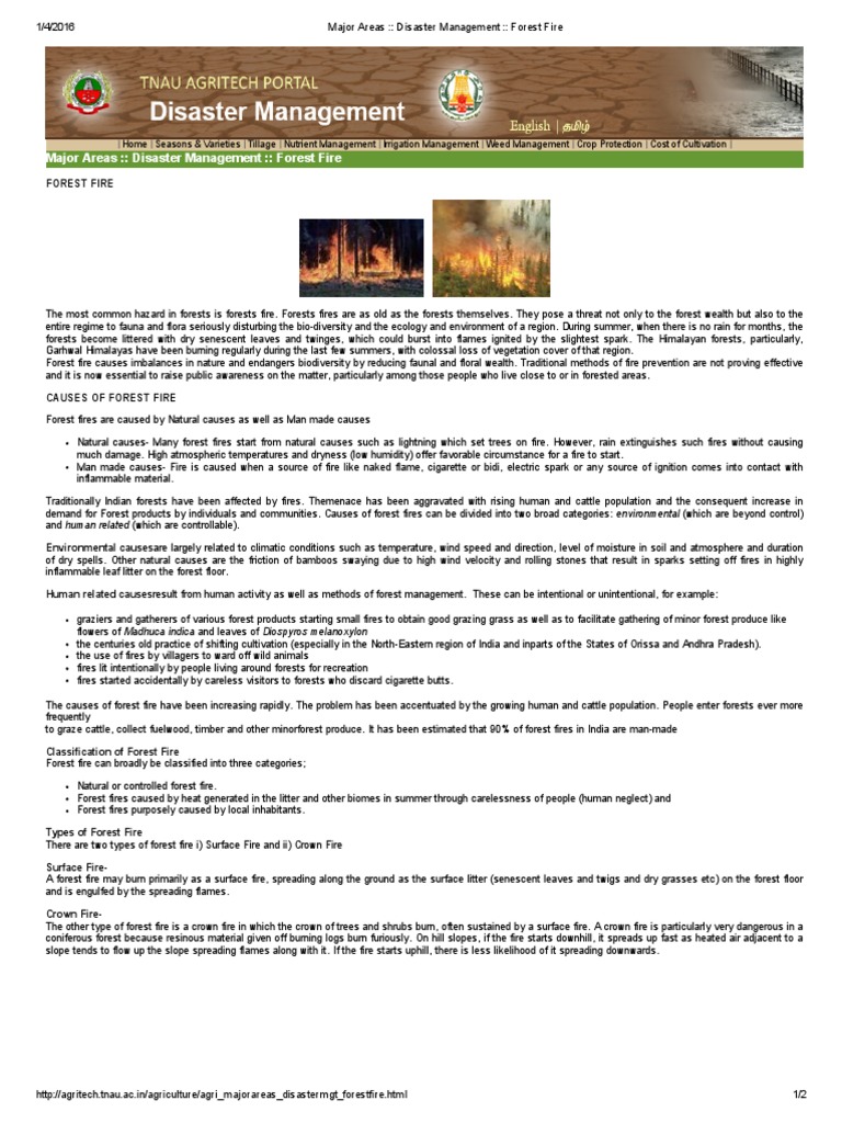Disaster Management Forest Fire Pdf Wildfire Fires