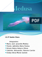 La Medusa PPT1