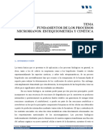 Ejemplo Estequimetría Bacteriana (2).pdf