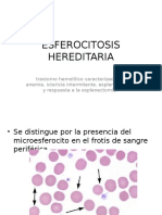 esferocitosis-hereditaria.pptx