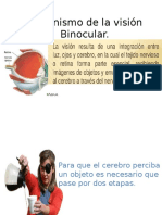 Mecanismo de La Visión Binocular