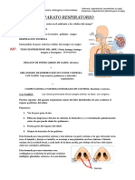 Aparato Respiratorio