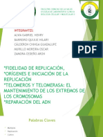 Exposición Grupo #3 Fidelidad De La Replicacion / Primer Parcial 