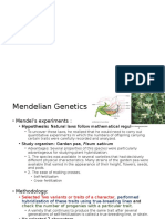 BBT Genetics II