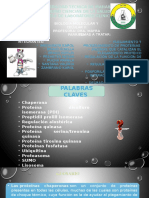 Exposicion Grupo #8 Plegamiento Y Procesamiento De Proteinas / Primer Parcial