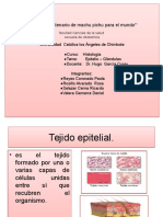 diapositivadehistologiatejidoepitelial1-121206215142-phpapp01