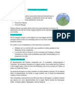 pluma.pdf