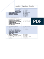 Consecuencias de La Acidez Estomacal