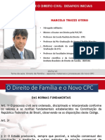 Aula 7 - Pal 20 1 2016 - DR Marcelo Truzzi Otero PDF