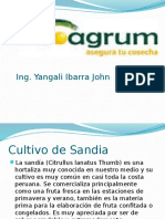 Charla de sandia.pptx