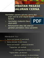 Hambatan Pasase Saluran Cerna