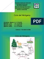 Ciclo Del N