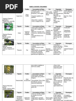 Tabela de estudo Florais de Bach