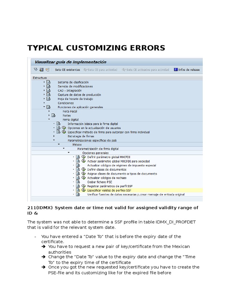 SAP SD 2XX Customizing Errors v1 0 PDF Public Key Certificate