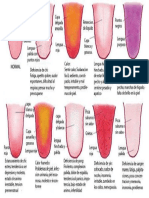 Diagnostico Lengua Grafico