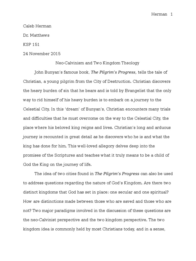 John calvin beliefs image