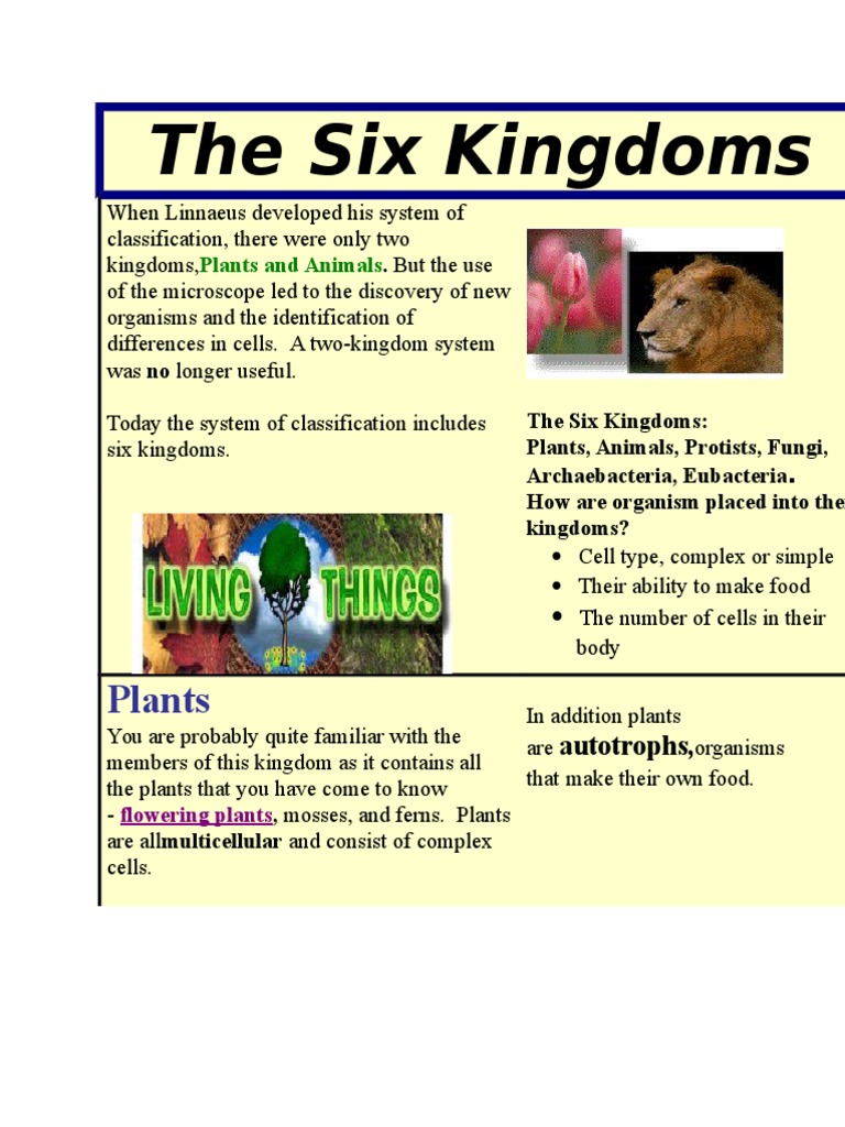 The Six Kingdoms | PDF | Plants | Fungus