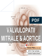 AMG4 Valvulopatii M Ao.pdf