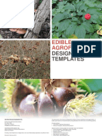 Edible Agro Forestry Templates