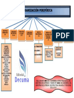 Oranización Periférica PDF