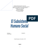 Trabajo Psicologia El Subsistema Humano Social