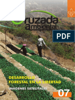 Desarrollo Forestal en La Libertad