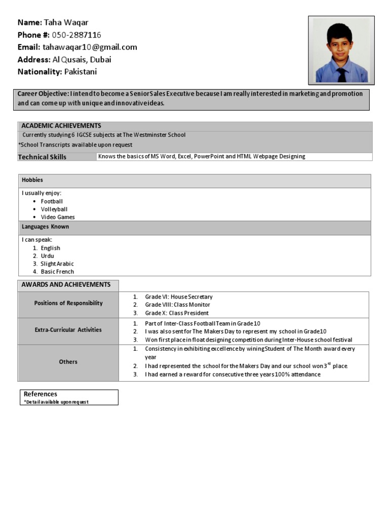 Aspiring Sales Executive Resume | PDF
