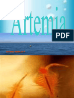 ARTEMIA 