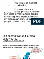 Self-Destructive and Suicidal Behaviour Diagnostic Evaluation