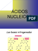 acidos nucleicos iessierrasur