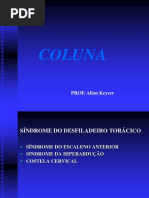 COLUNA 1
