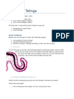 Histology Vestibulocochlear