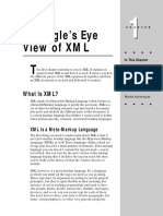 An Eagle's Eye View of XML