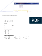 Matrices y Determinantes