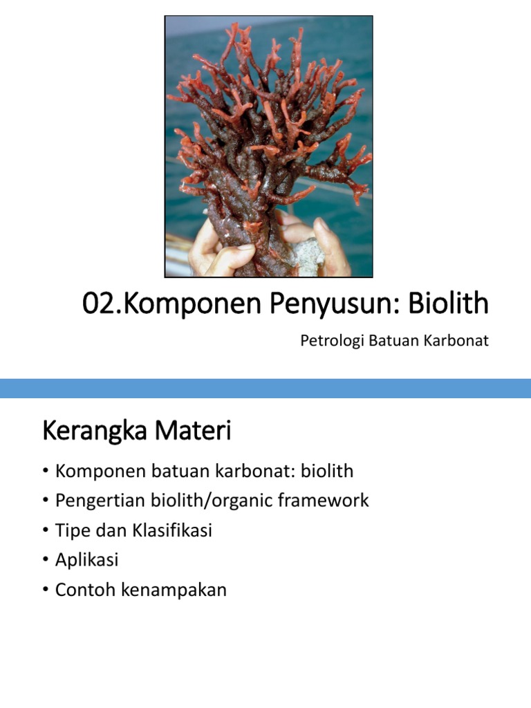 02.komponen Biolith | PDF | Technology & Engineering