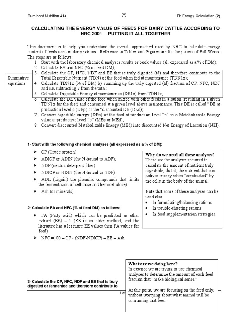 Energy Calculation PDF Digestion Nutrition