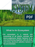 What Is An Ecosystem 005