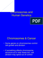 14 Chromosome and Human Genetics (REVISED)
