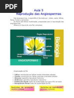 Biologia - Aula 05 - Reprodução das angiospermas