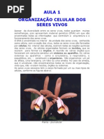 Biologia - Aula 01 - Organização Celular dos Seres Vivos